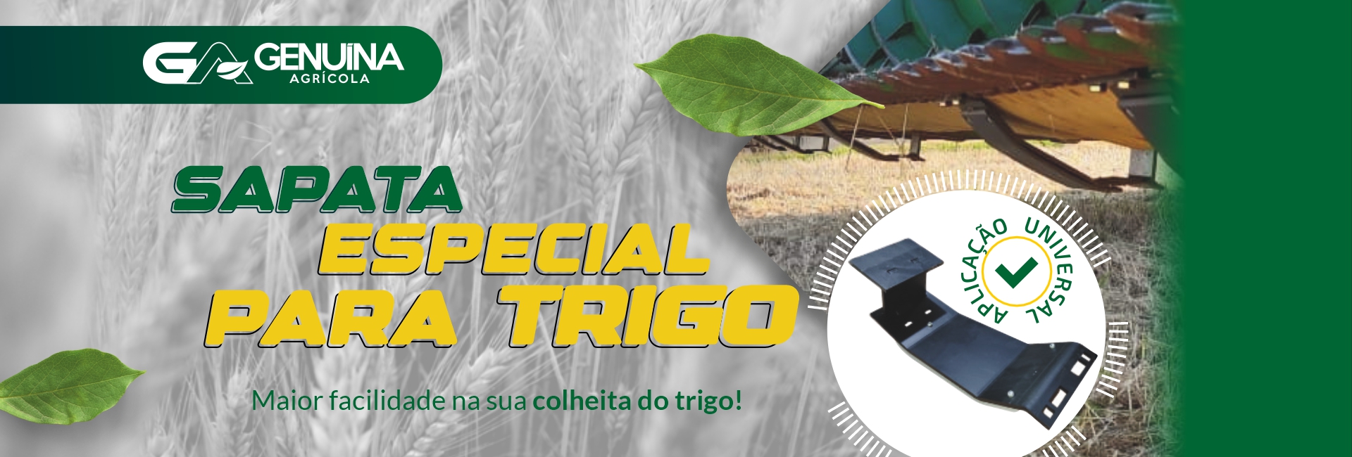 Sapata Trigo